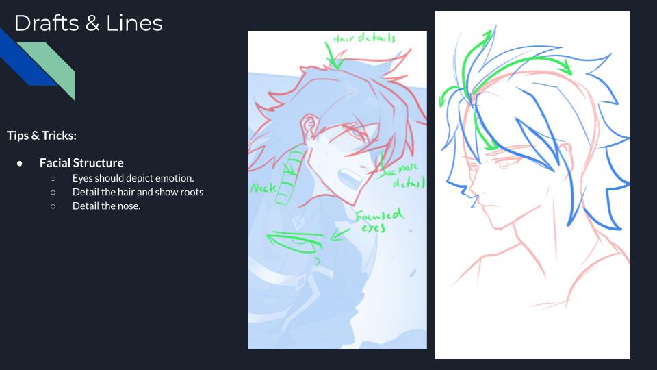 Facial structure and hairline direction notes